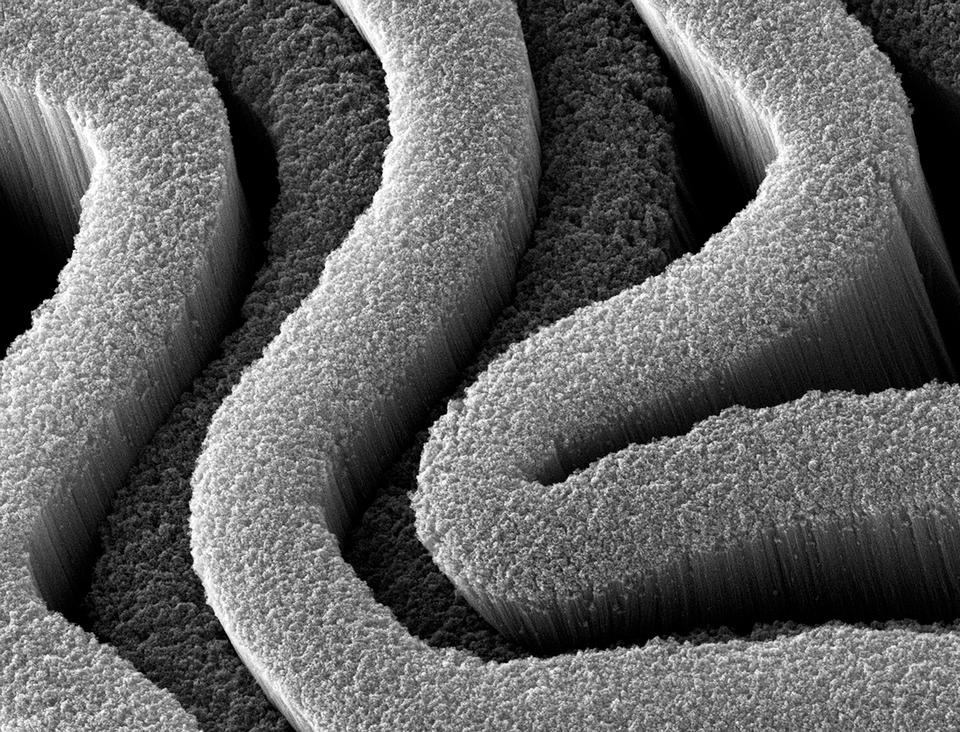 Carbon Nanotube “Forests”