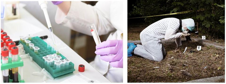 image of a crime lab and crime scene