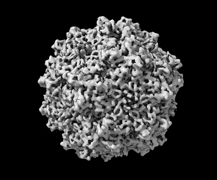 This AAV vector is a bumpy sphere that looks like it's made up of tiny crumpled black and white tubes.