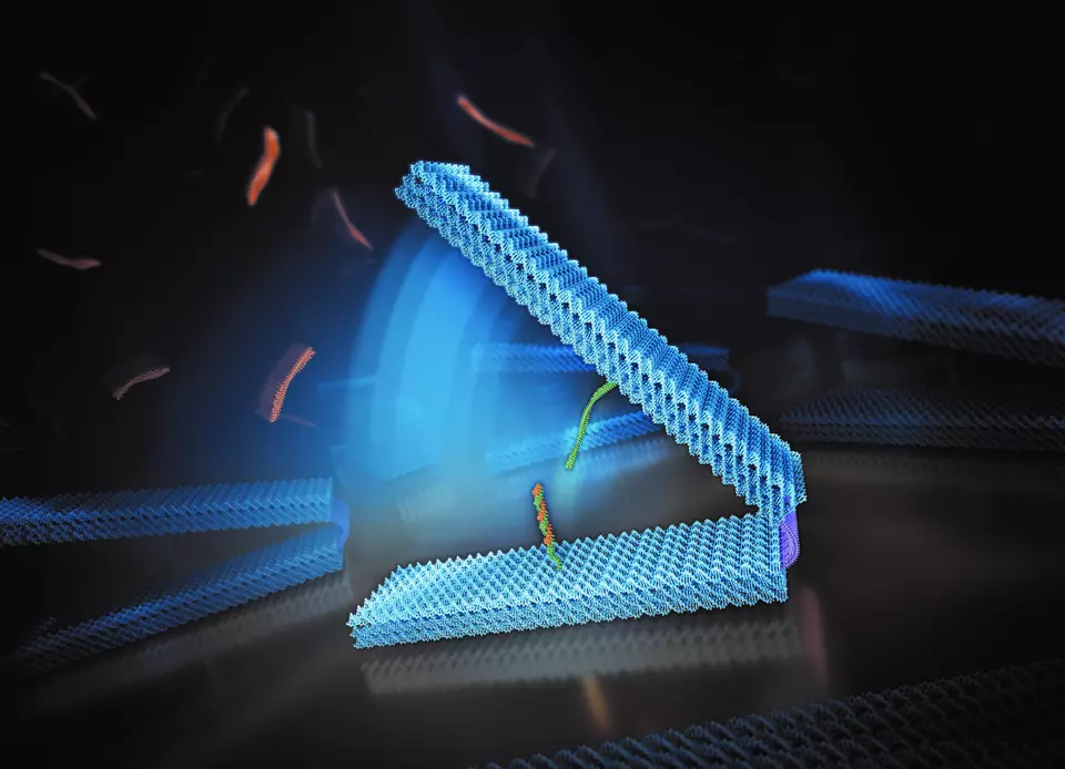 DNA hinge illustration