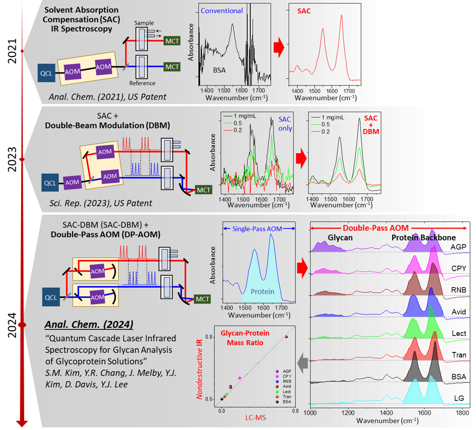 Development of the high-sensitivity IR spectroscopy based on the solvent absorption compensation technique