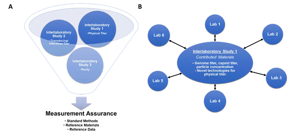 A figure with two panels. Left panel shows the activities of WG4-ILS1 physical titer, WG4-ILS2 infectious titer, and WG4-ILS3 purity, as funneling into the result of measurement assurance for gene delivery systems and potential generation of standard methods, reference materials or reference data. Right panel shows the activities of WG4-ILS1 that will be distributed to labs through sharing contributed materials for measurements of genome titer, capsid titer, particle concentration, and other methods.
