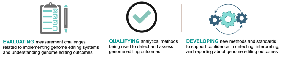 Three icons separated by vertical thin lines: a clipboard with checkmarks and a pencil beside it (representing evaluating), a check mark within a circle (representing qualifying), and three gears within a circle made up of two arrows (representing developing)