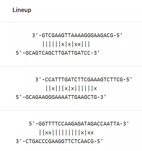 AutoDimer DNA helix screening