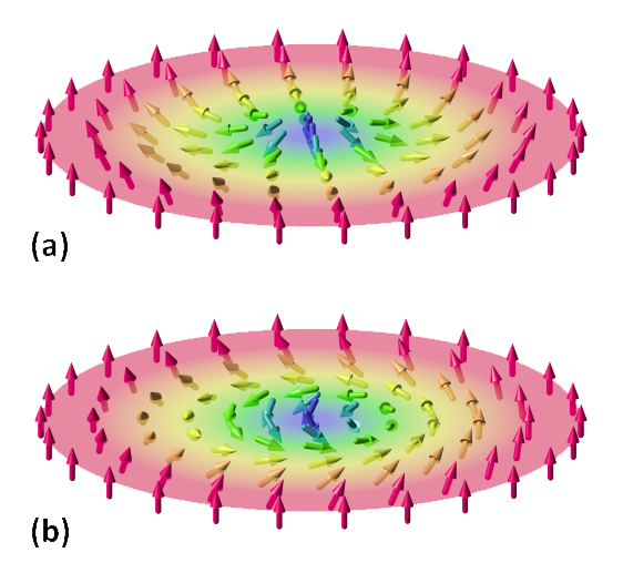 skyrmions