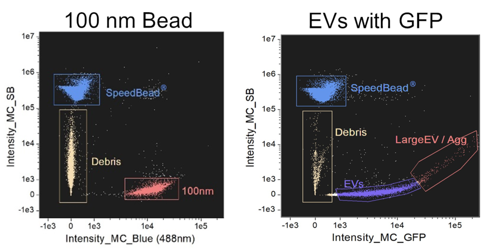 Two dot plots from an imaging flow cytometer showing how the appearance of 100 nm beads, left, can be used to calibrate the size range for extracellular vesicles, right.