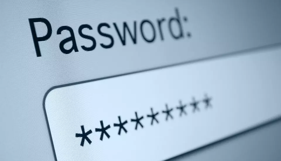 A computer screen shows a password field box with characters hidden by asterisks.