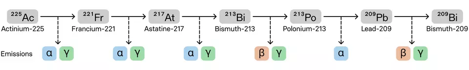 Chart shows how actinium-225 breaks down into six other elements, each of which emits certain types of radiation.
