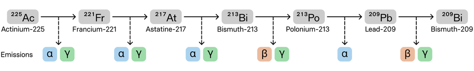 Chart shows how actinium-225 breaks down into six other elements, each of which emits certain types of radiation.