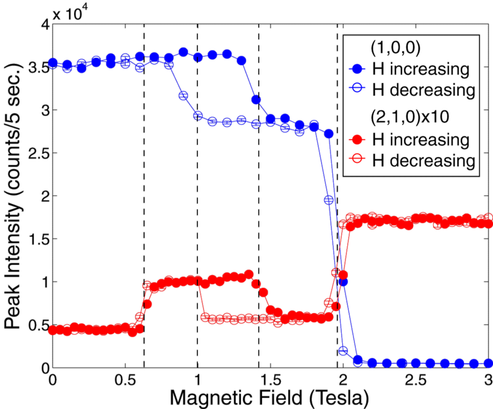 HoMnO3 Field Dependence at Low Temperature