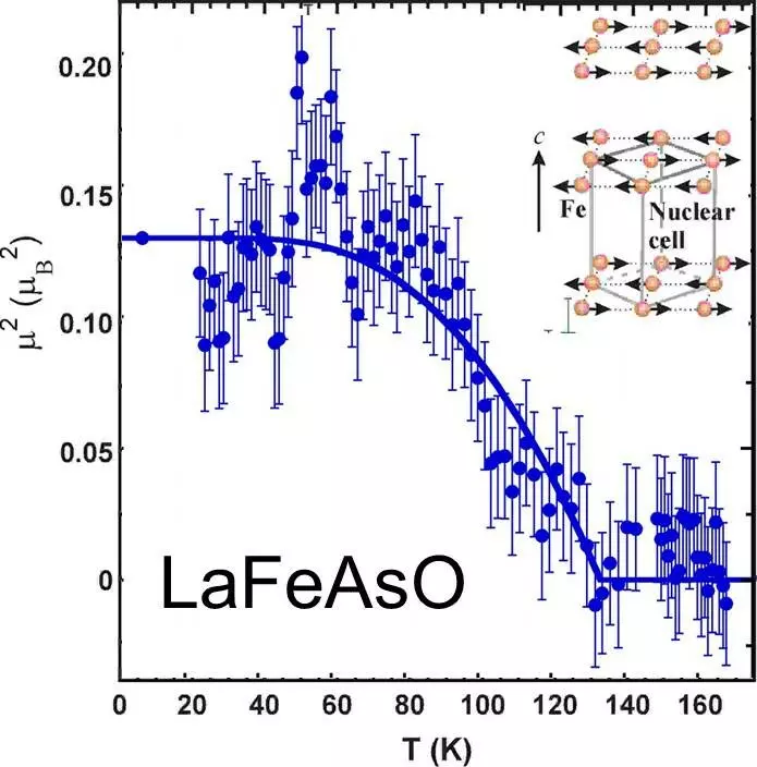 LaFeAsO Magnetic Order Parameter
