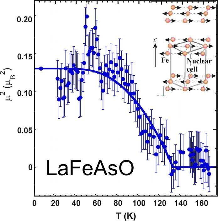 LaFeAsO Magnetic Order Parameter