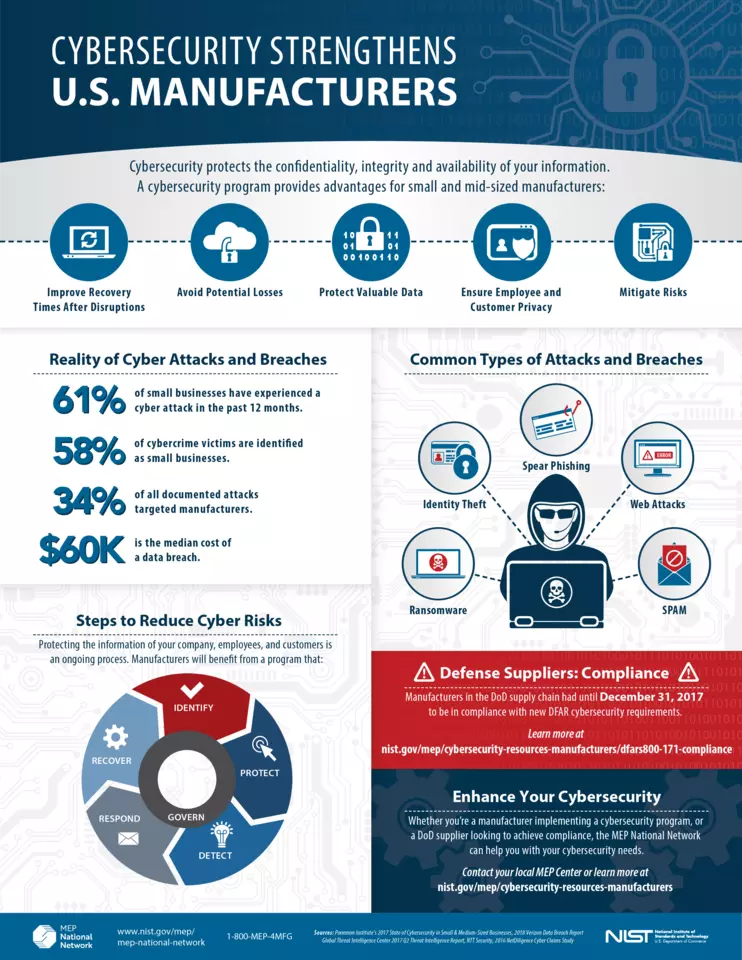 Cybersecurity Infographic