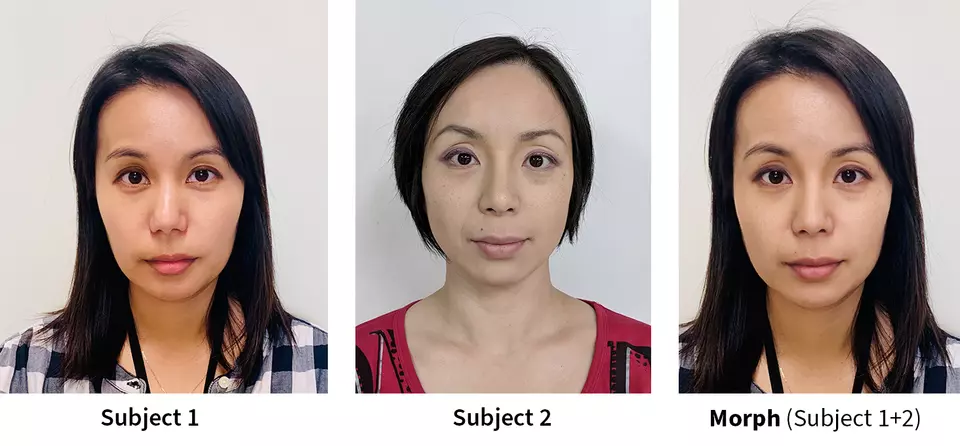 Photos of two different women’s faces are followed by a synthesis of them into a single “morph” image.