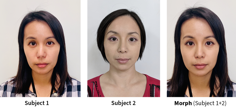 Photos of two different women’s faces are followed by a synthesis of them into a single “morph” image.