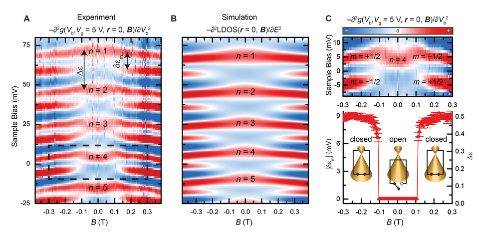 Graphene Berry Phase Switch