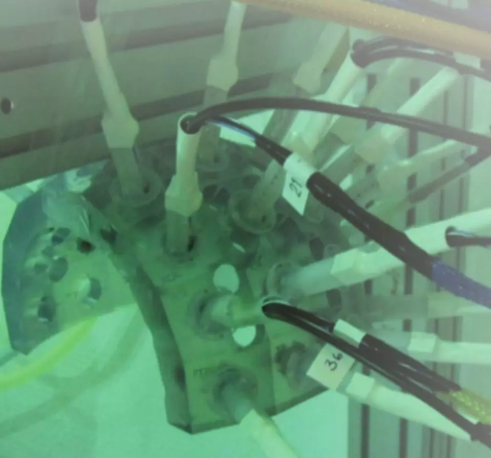 Chip-scale atomic magnetometers arranged in an array around a human head to detect brain magnetic fields.