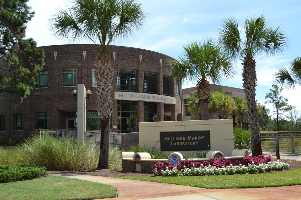 Hollings Marine Laboratory building with sign and palm trees