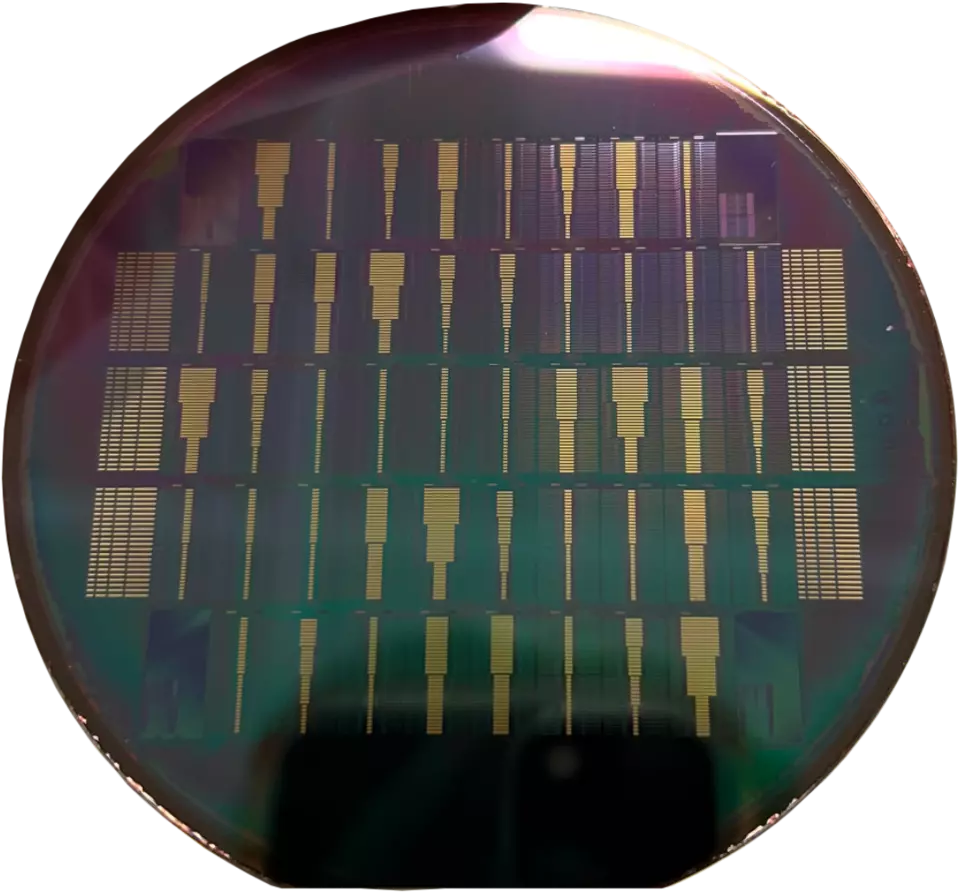 Shiny, dark circular surface has rows of microchips embedded on it. 
