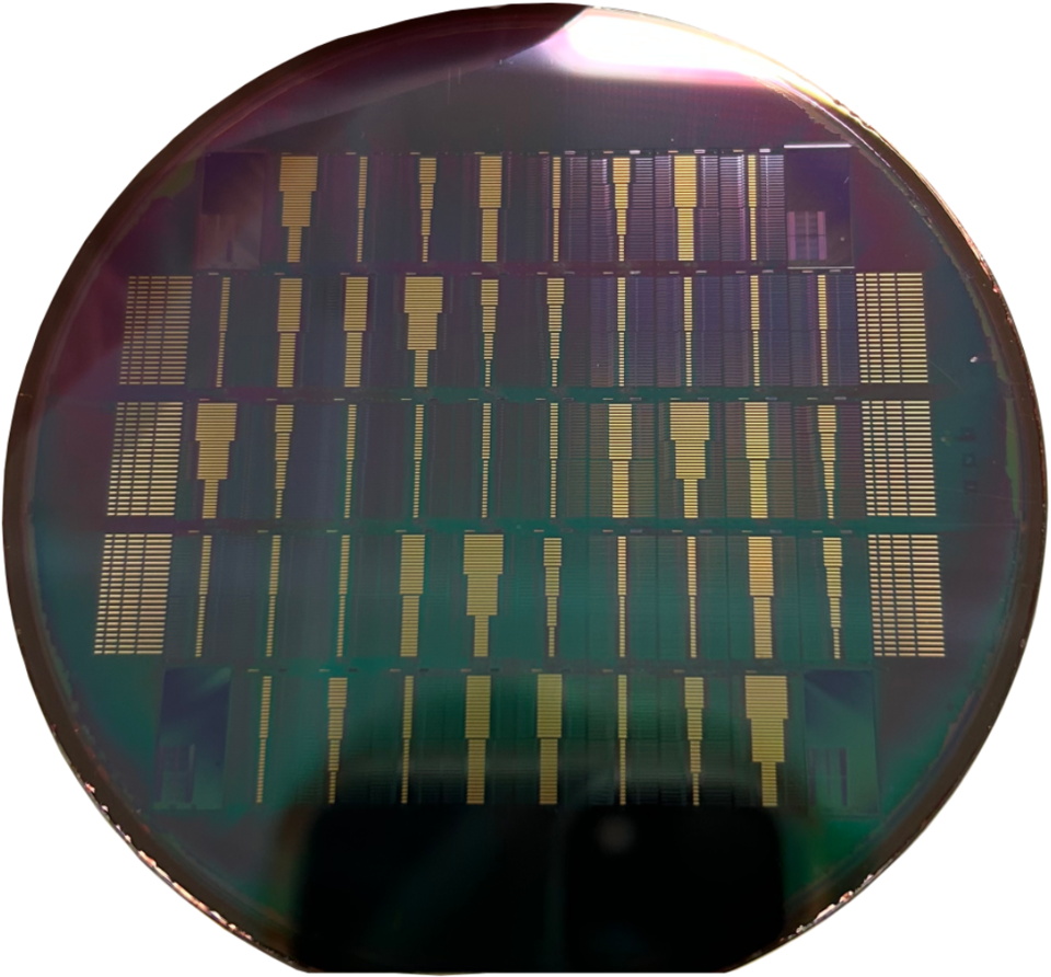 Shiny, dark circular surface has rows of microchips embedded on it. 