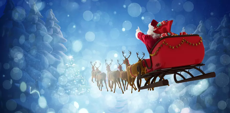 View from rear shows Santa's sleigh with reindeer flying through snowy trees.
