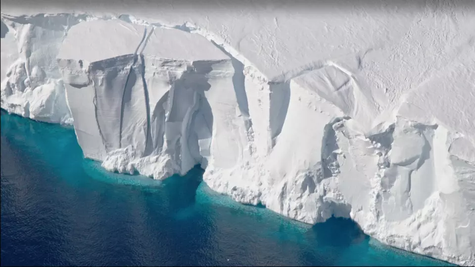 The edge of a glacier is a high cliff of snow over blue water.
