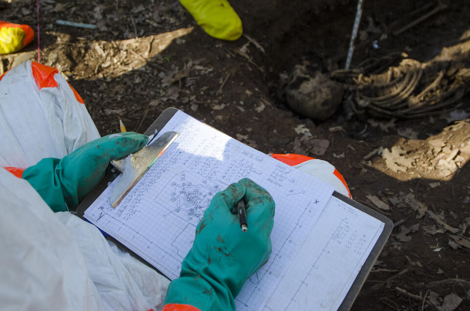 A person wearing gloves and a coverall kneels at the end of a shallow burial site and sketches on a clipboard. 