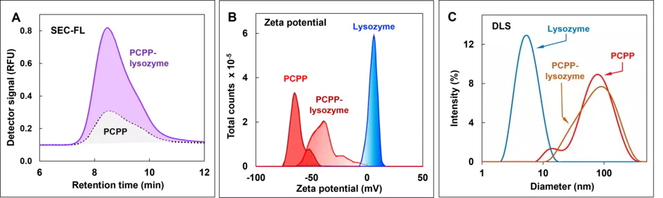 Analytical Methods to Measure Protein-Polyelectrolyte Binding