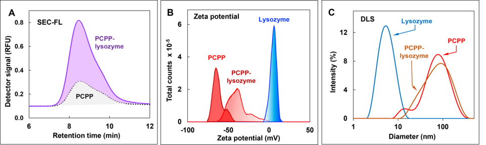 Analytical Methods to Measure Protein-Polyelectrolyte Binding