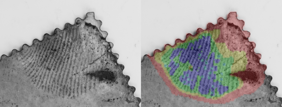 A postage stamp with a fingerprint on it is shown twice, once in black and white and then with different regions colorized.