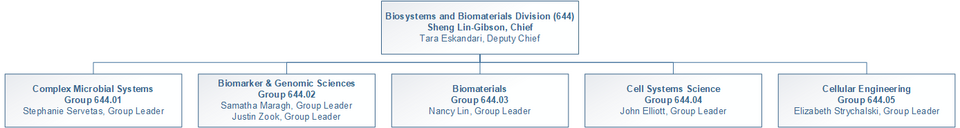 Organization Chart for Biosystems and Biomaterials Division showing five technical groups and each group's leader.