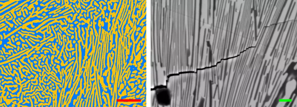 Thresholded SEM image of polished cross-section of alumina and ceria.png
