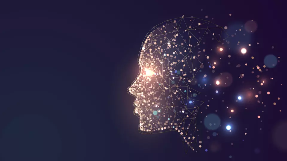 Image of a head with broad cybersecurity connotations 