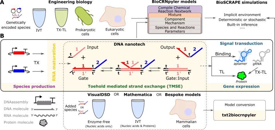 Schematic of the TMSE-BioCRNpyler package as it applies to different engineering biology applications. More details in the figure caption.