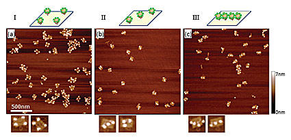 Quantum Dot Nanopatterns