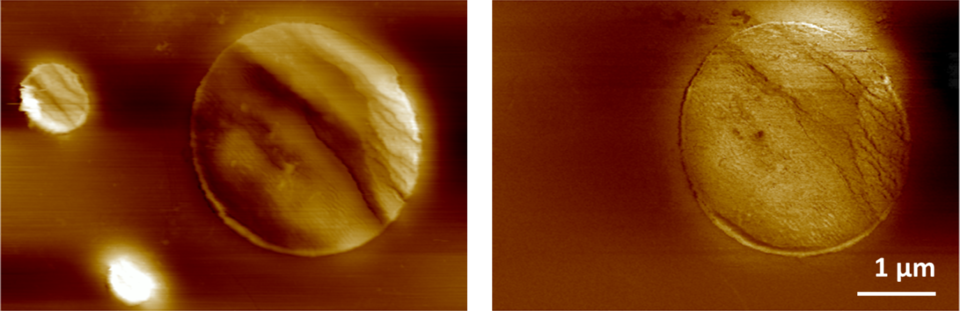 Infrared_Imaging_Fig1