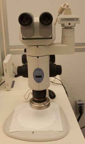 Photograph of the Nikon SMZ1500 stereo microscope.
