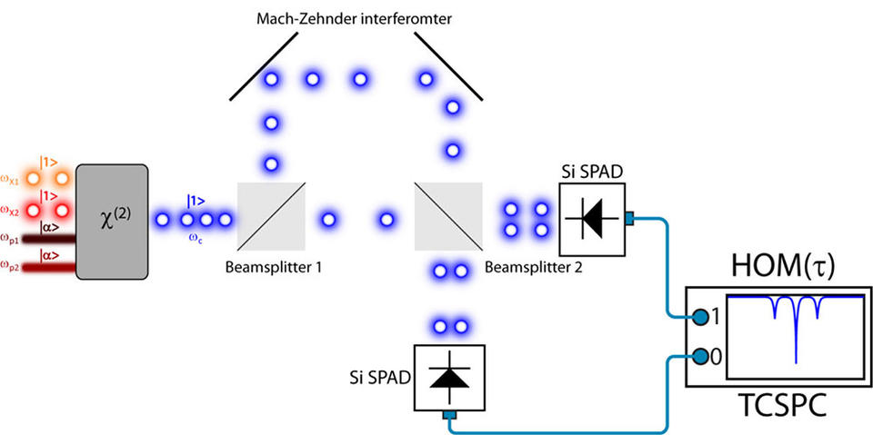 Schematic showing the experimental setup