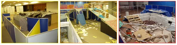 IJCAI_AAAI Arenas1 2003