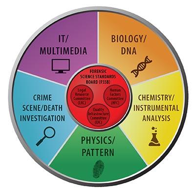 SAC-level-graphic-web