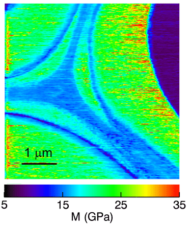 AFM Impact