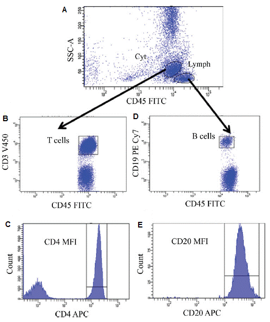 CD20_expression_level