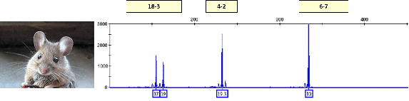 cell_line_authenticate