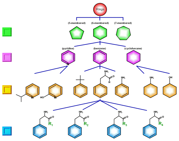 Schematic showing a five level hierarchy through which, at the lowest fifth levels, individual chemical compounds can be structurally related to a chemically similar precursor (fourth level), a common chemical moiety (third level), a specific chemical concept (second level) and a general chemical concept (first level).