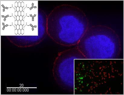 Composite image showing upper left, nanoparticle conjugated antibodies, lower right fluorescence image of stained cells, center magnified fluorescence image showing stain and marker localization