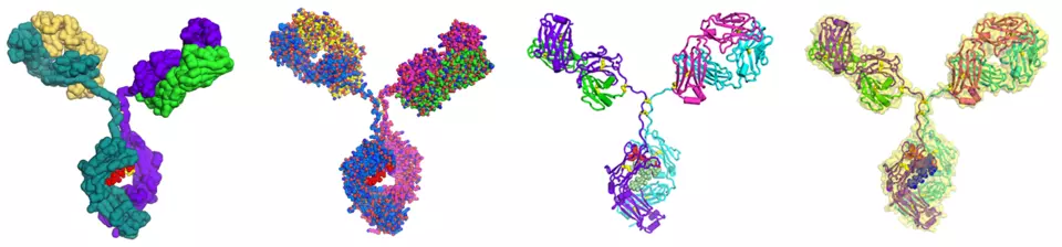 the&nbsp;NIST&nbsp;monoclonal antibody