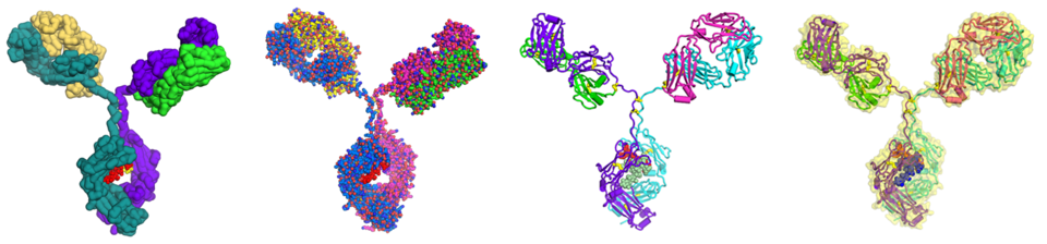 the NIST monoclonal antibody
