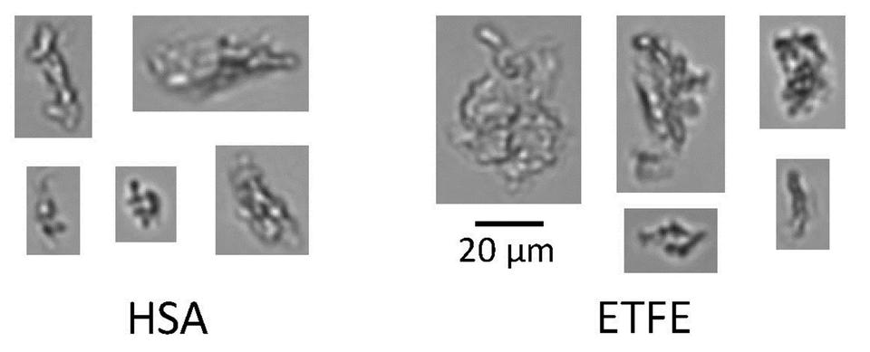 surrogate protein particles