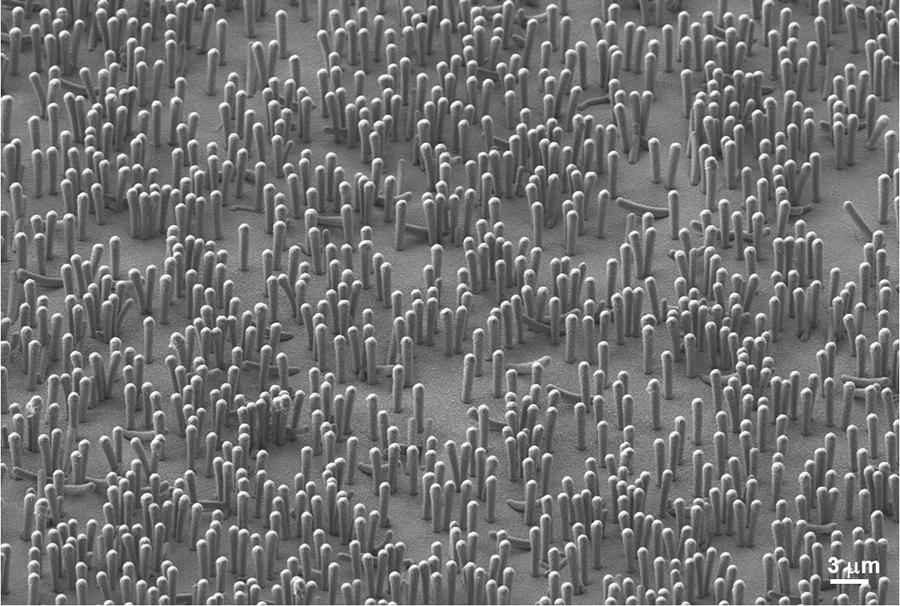 nanowire lithium-ion batteries