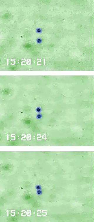 Three frames vertical. Light green background with small blue dots.
